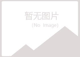 三门峡山柏采矿有限公司